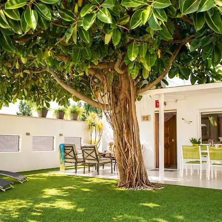 Net Planta Baja 50m De La Playa By Family Homes Appartement